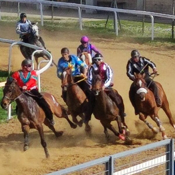 Palio a Monteroni d'Arbia